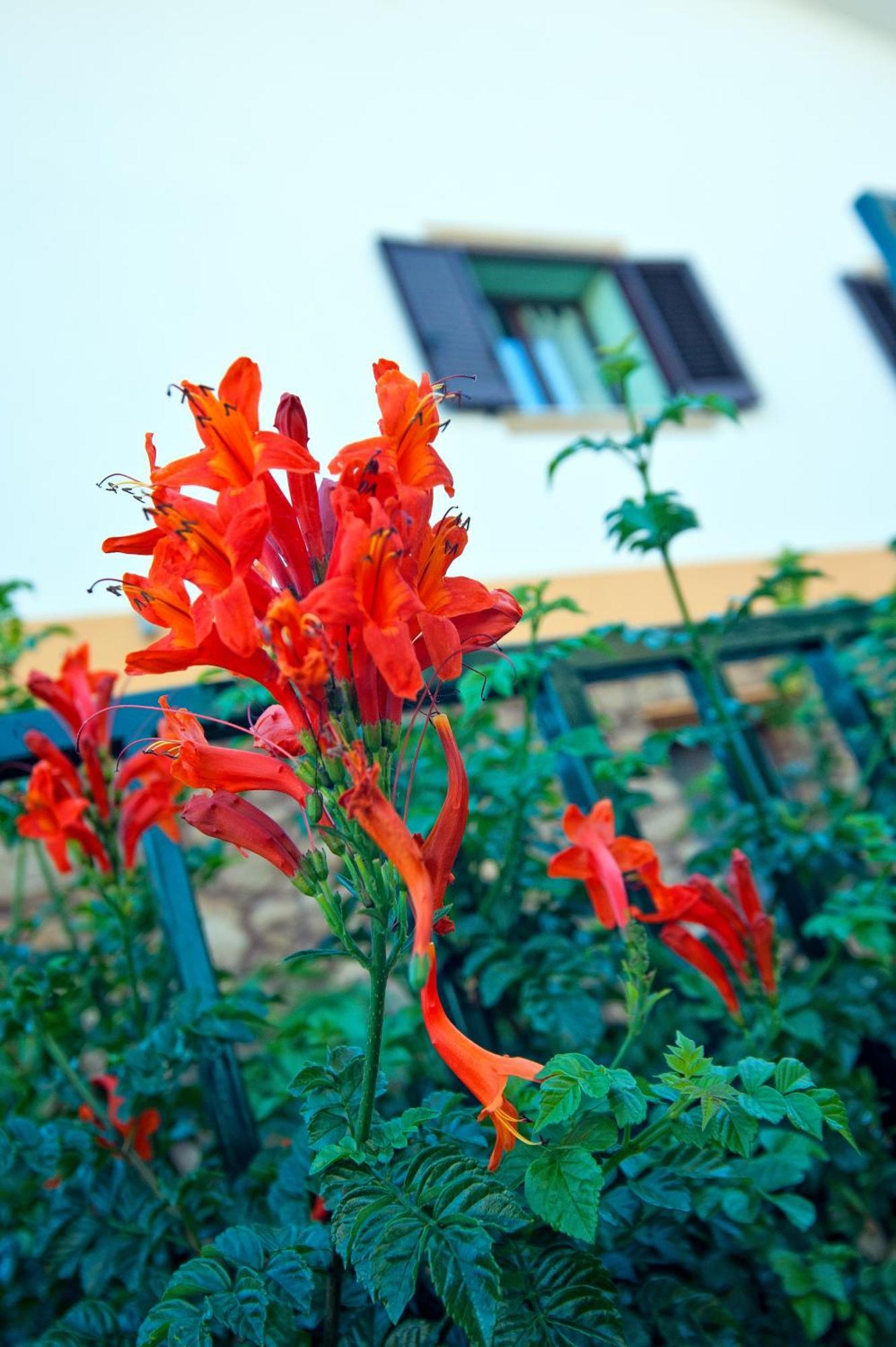 Aparthotel Casale La Zagara Sciacca Exteriér fotografie